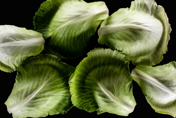 top view of wet green cabbage leaves isolated on black - Photo, image