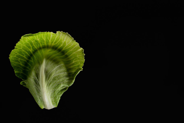 top view of wet green cabbage leaves isolated on black - Fotografie, Obrázek