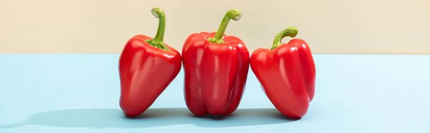 fresh red bell peppers on blue surface isolated on beige, panoramic shot - Photo, Image