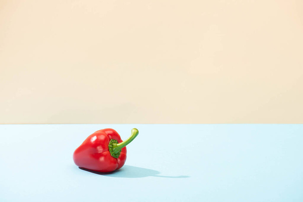 fresh red bell pepper on blue surface isolated on beige - 写真・画像