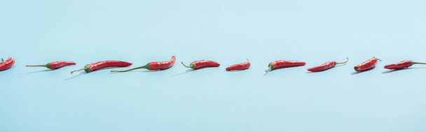 fresh red chili peppers on blue surface, panoramic shot - Photo, Image