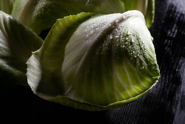 wet green cabbage leaves with drops on black - Foto, Imagem