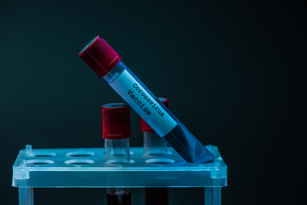 Tubos de amostra com amostras de sangue e vacina contra coronavírus em rack de tubo de ensaio no escuro
  - Foto, Imagem