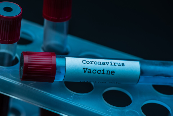 Cremalheira de tubo de ensaio com vacina coronavírus sobre fundo escuro
 - Foto, Imagem