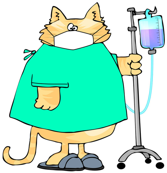 Ilustrace nemocné kočky v nemocničním plášti, tlačící vozík s kapačkou a s obličejovou maskou. - Fotografie, Obrázek