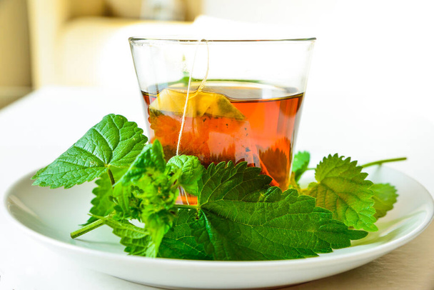 nettle infusion in a transparent cup - Photo, Image
