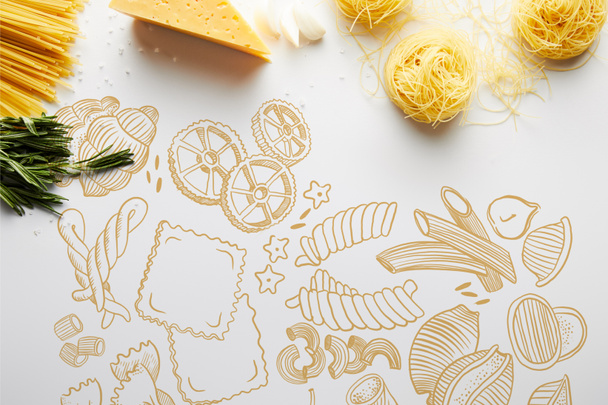 Top view of rosemary, garlic, cheese and pasta on white background, food illustration - Photo, Image