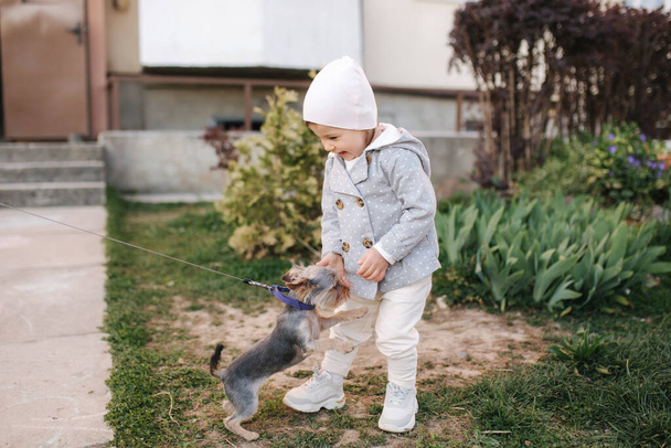 Cute little gilr in grey coat play with little dor outside. Yorkshire terrer play and jump. Adorable gilr have fun with pet - Fotó, kép