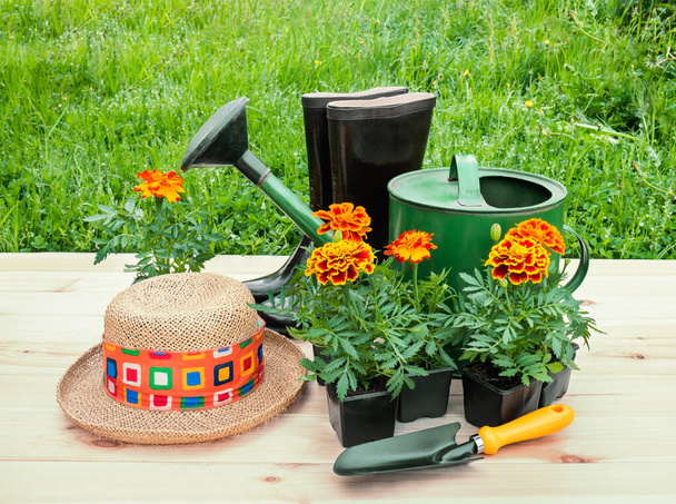 Наружные саженцы оранжевых цветов Мэриголд, садовая лопата, соломенная шляпа, резиновые сапоги и лейка
.  - Фото, изображение