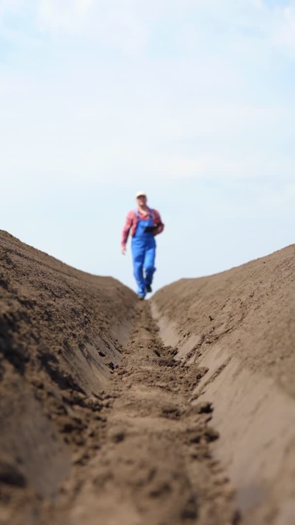 vertical video. Farmer walks on field, between special soil rows. He tests, using tablet, quality of potatoe planting by cultivator. Modern Agriculturally cultivation. spring sunny day. - Materiał filmowy, wideo