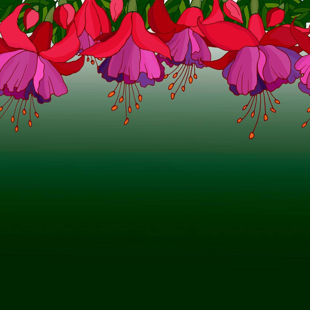 background with fuchsia flowers, vector illustration, for different design - Vector, Image
