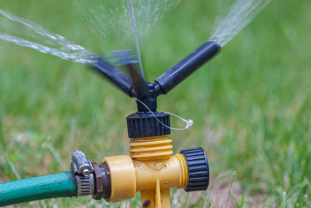 Sprinkler automatically watering the lawn - Photo, Image