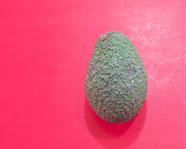 Un intero avocado Hass con pelle sconnessa di colore verde scuro su sfondo rosso chiaro
 - Foto, immagini