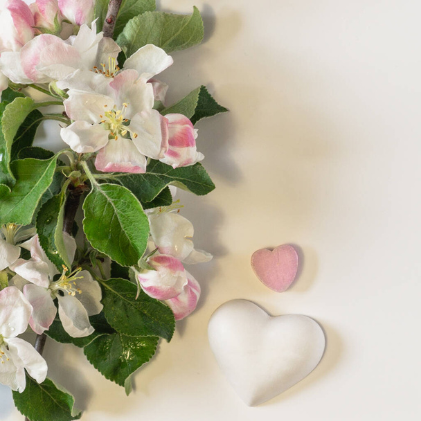 Spring apple blossom branches with hearts over white background. Top view - Foto, Bild