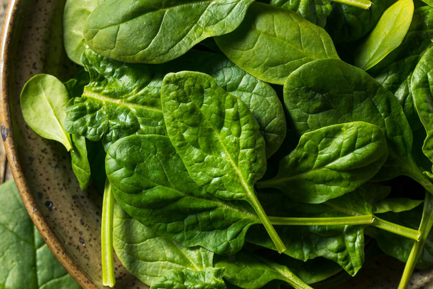 Raw Organic Fresh Baby Spinach in a Bowl - Zdjęcie, obraz