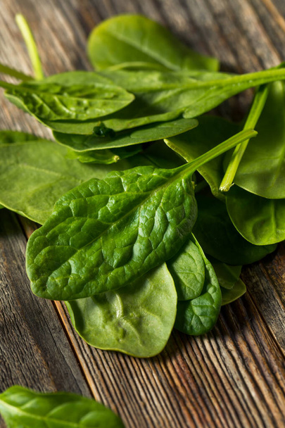 Raw Organic Fresh Baby Spinach in a Bowl - Фото, изображение