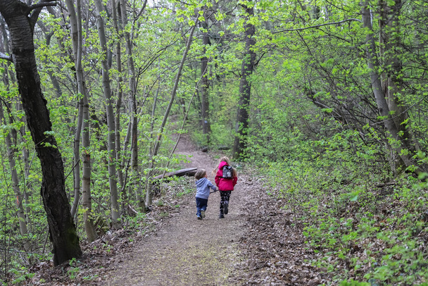 Хлопчик і дівчинка бігають або ходять по лісу рано навесні
 - Фото, зображення