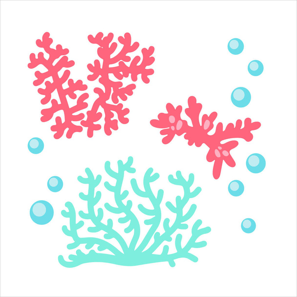 Vektorkészlet illusztráció színes tengeri korallok, buborékok és hínár izolált fehér alapon. Vörös- és zöld tenger alatti élőlények, tengeri vagy óceáni növény- és állatvilág. A legjobb logó, kártya - Vektor, kép
