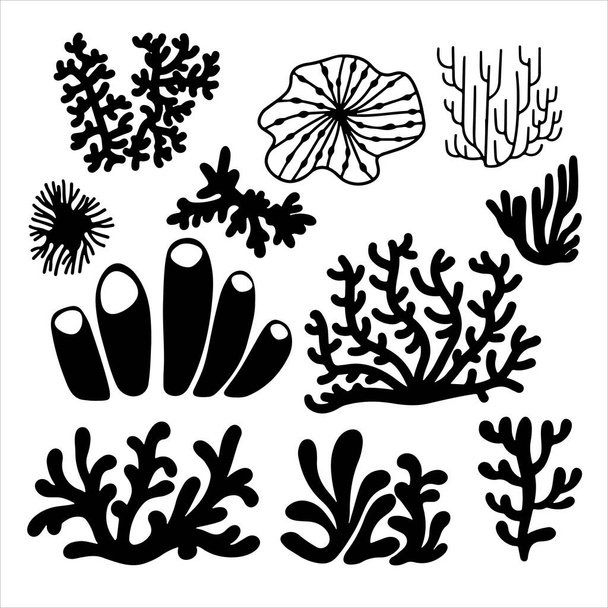 Vector set illustration of black sea corals and seaweed isolated on white background. Set of underwater species, marine creatures, sea or ocean flora and fauna. Best for logo, card, tattoo - Vector, Image