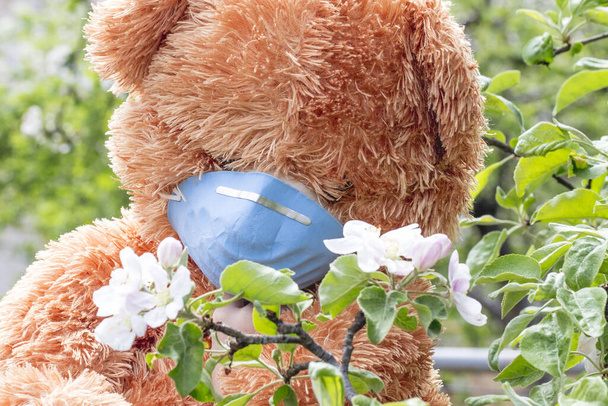 Oyuncak ayının üstünde tıbbi maske, çiçek açan bir ağacın yanında. Salgın, koronavirüs, bahar karantinası. Koruma kavramı. - Fotoğraf, Görsel