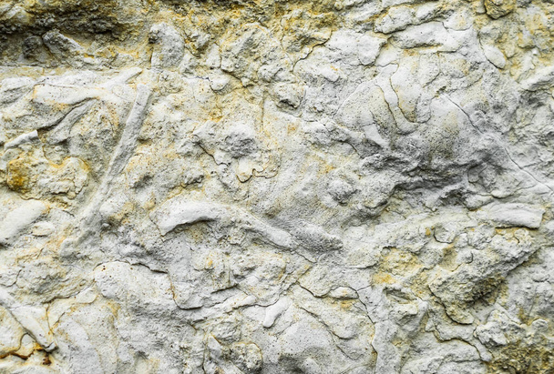 limestone texture usable as texture or background. - Foto, Imagen
