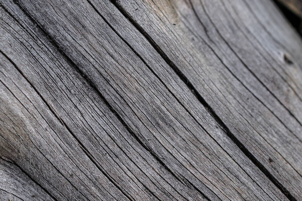 vieux bois fissuré avec des détails visibles. textura - Photo, image