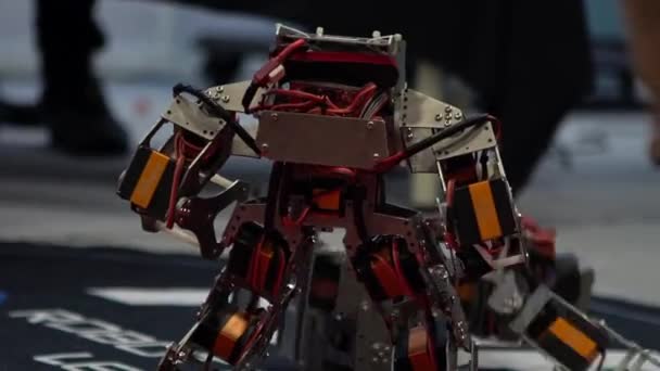 Ανταγωνιστική τεχνολογία ρομπότ. Δύο σύγχρονα ρομπότ μαλώνουν. Δύο ρετρό ρομπότ αντιμετωπίζουν αγώνες μποξ. Νέες τεχνολογίες φουτουριστικό sci-fi ρομπότ πολεμικές τέχνες. Τεχνητή νοημοσύνη έννοια-Dan - Πλάνα, βίντεο