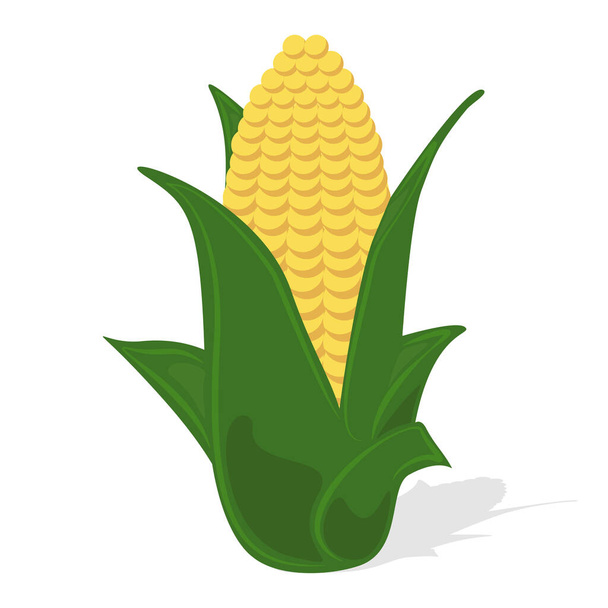 Кукурузная икона. Дизайн векторной иллюстрации органических продуктов
 - Вектор,изображение
