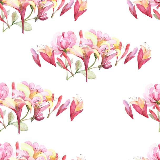 Watercolor hand painted nature floral composition seamless pattern with pink blossom honeysuckle flowers bouquet isolated on the white background, garden print for design elements - Zdjęcie, obraz