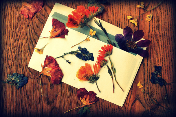 Foto vintage di lettera e fiori secchi
 - Foto, immagini