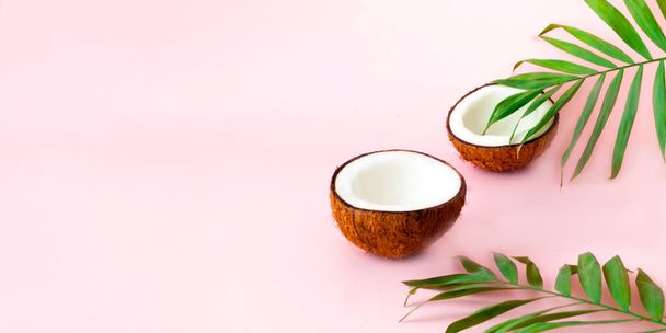 Fundo tropical com folhas de palmeira e coco. Simplicidade calmante e saúde sustentável para quarentena. Close-up, espaço de cópia
 - Foto, Imagem