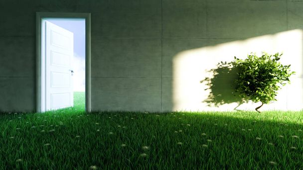 muro de hormigón con césped y piso de flores en habitación vacía y efecto de sombra de luz solar en la pared de representación 3D realista
 - Foto, Imagen