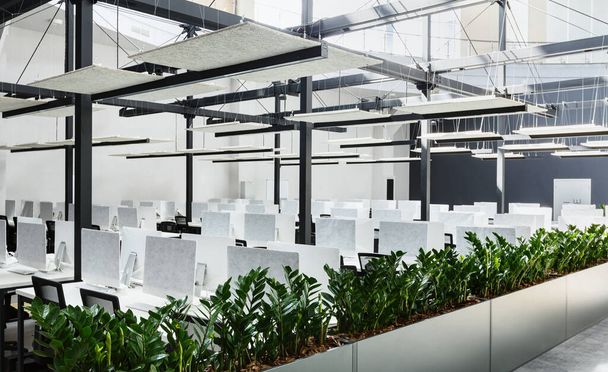 Nowoczesne wnętrze biurowe z zielonymi roślinami i komputerami - Zdjęcie, obraz