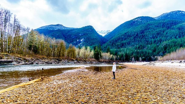 Senior woman on a hike along the Iron Oxide Stained rocks lining the shore at low water in the Squamish River in the Upper Squamish Valley in British Columbia, Canada - Photo, Image