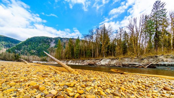 Tukit juuttuneet hiekkaan ja rautaoksidi Tahriintunut kiviä vuori rannalla alavedessä Squamish joen Ylä Squamish Valley Brittiläisessä Kolumbiassa, Kanadassa
 - Valokuva, kuva