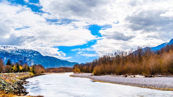 Squamish River Brackendale Eagles Provincial Park, kuuluisa kotka katsomassa paikalla British Columbia, Kanada
 - Valokuva, kuva