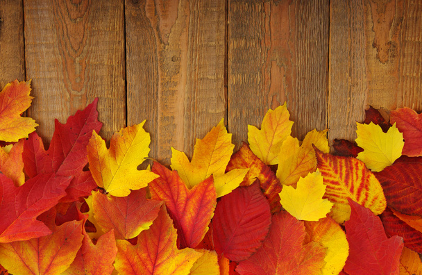 hojas de otoño sobre madera - Foto, imagen