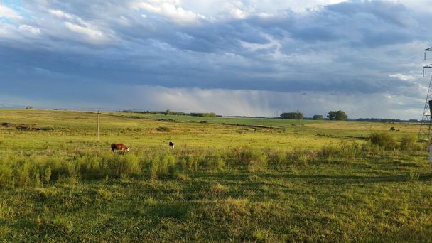 Tempestade num campo uruguaio. Você também pode ver algumas vacas e uma linha de energia
. - Foto, Imagem