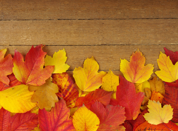 autumn leaves on wood - Foto, Imagen