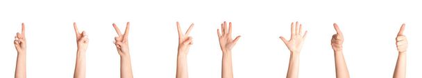 Joukko naisten kädet osoittavat erilaisia eleitä valkoisella taustalla, banneri suunnittelu. Kollaasi
 - Valokuva, kuva