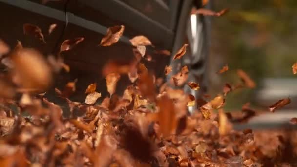 Yeni metalik mavi off-road aracının tekerlekleri dökülen yaprakları sallıyor. - Video, Çekim