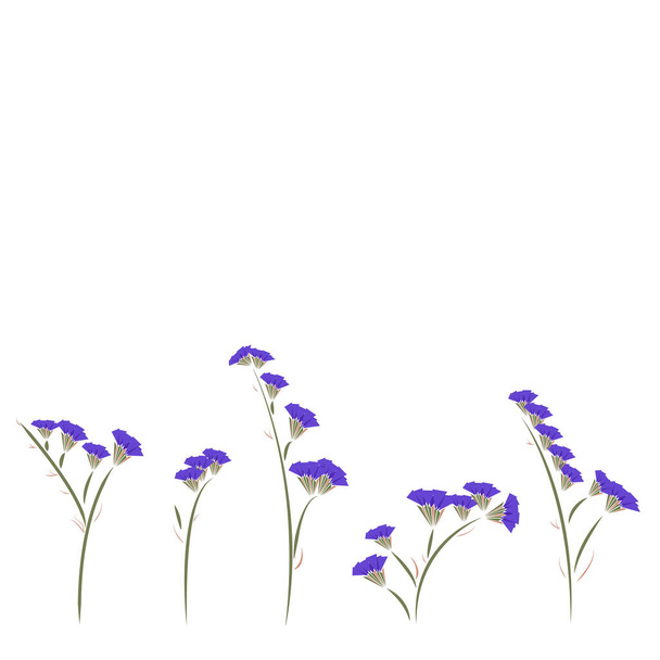 Lila Wiesenblumen auf weißem Hintergrund. Botanische Illustration. Zur Dekoration von Tapeten, Textilien, Geschirr, Geschenkpapier, Grußkarten, Lehrbüchern, Drucken für Kleidung, Aufklebern - Vektor, Bild