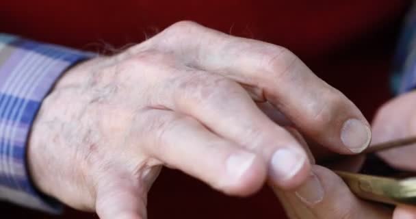 close-up van de handen van de oude persoon omgaan met een smartphone - Video
