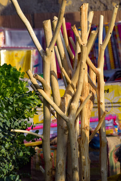 Ghazipur Phool Mandi çiçek pazarı sabahları Çin, Vietnam, Tayland ve Hindistan 'dan gelir. - Fotoğraf, Görsel