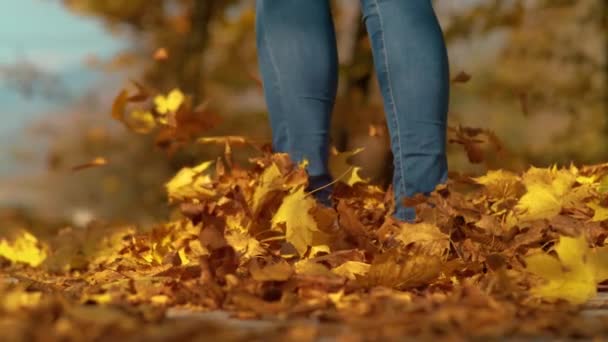 Žena v hubených džínách hravě kráčí po stezce plné listí - Záběry, video