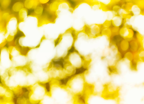 amarillo y marrón verde luz de la naturaleza, bokeh luz con fondo borroso
 - Foto, Imagen