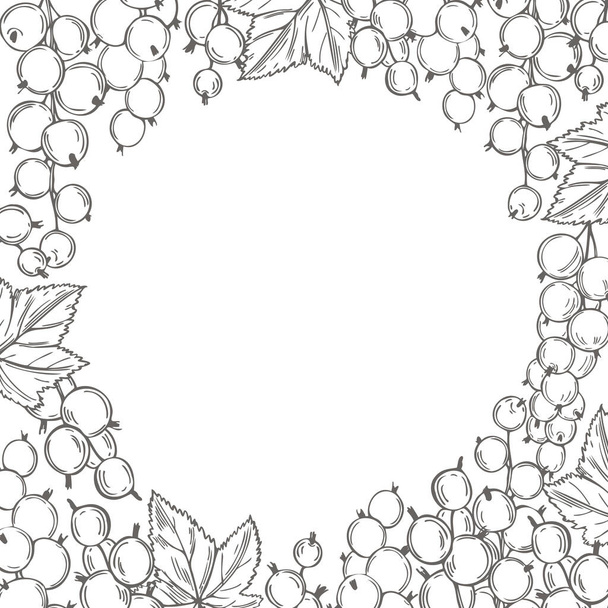  Vecor background with hand drawn currant. Sketch illustration - Vector, Image