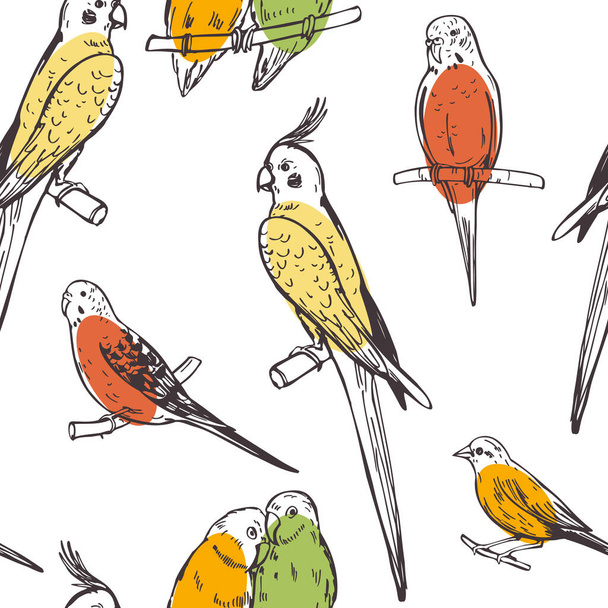Hand drawn birds. Parrots and canaries. Vector seamless pattern.  - Vector, Image