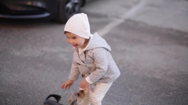 Roztomilá holčička v šedém kabátě hrát s malým psem venku. Yorkshire terrer hrát a skákat. Roztomilé dívka bavte se s domácím mazlíčkem - Záběry, video
