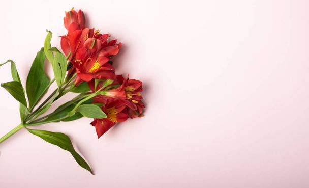 Beautiful spring bouquet of red flowers on a light pink background. Copy space. - Foto, Bild